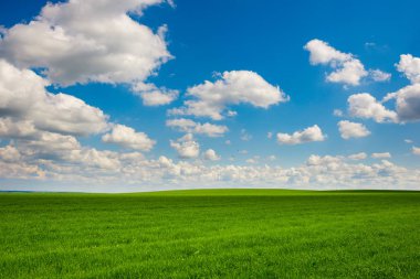 Yeşil çim ve mavi gökyüzü beyaz bulutlar, arka plan ile