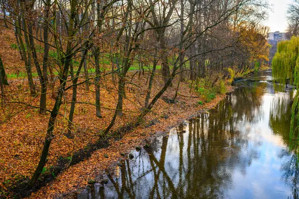 Μικρό Ποτάμι Φθινοπωρινό Δάσος Πολλές Επιστολές — Φωτογραφία Αρχείου