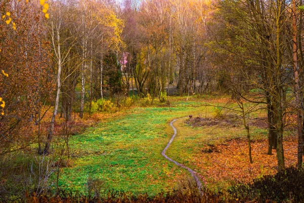 Gågatan Hösten Park Vacker Dag — Stockfoto