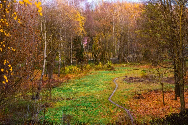 Gågatan Hösten Park Vacker Dag — Stockfoto