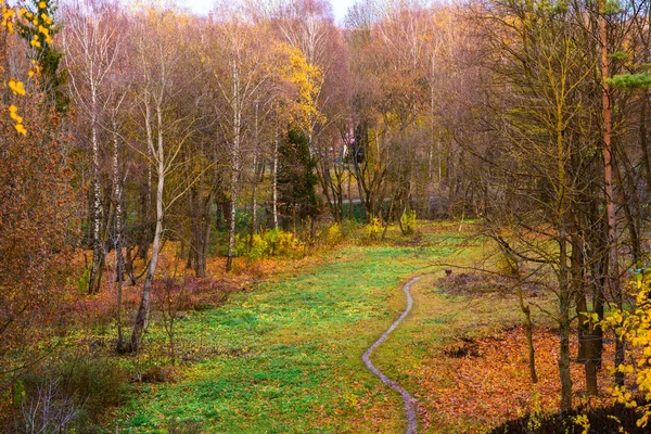 Jesienny Park Pieszych Piękny Dzień — Zdjęcie stockowe