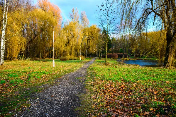 Route Piétonne Parc Automne Une Belle Journée — Photo