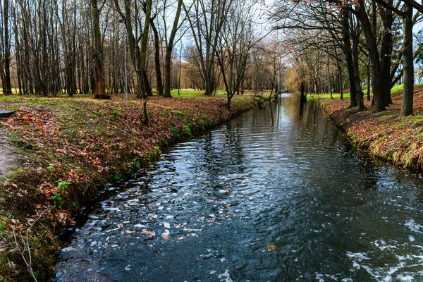 Pequeno Rio Floresta Outono Muitas Letras — Fotografia de Stock