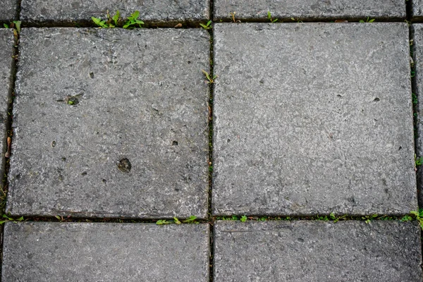 Nahtlos Kachelbare Textur Von Pflasterplatten Hintergrund — Stockfoto