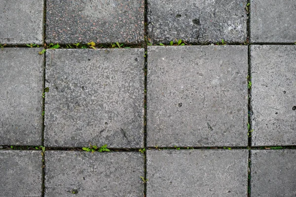 Nahtlos Kachelbare Textur Von Pflasterplatten Hintergrund — Stockfoto