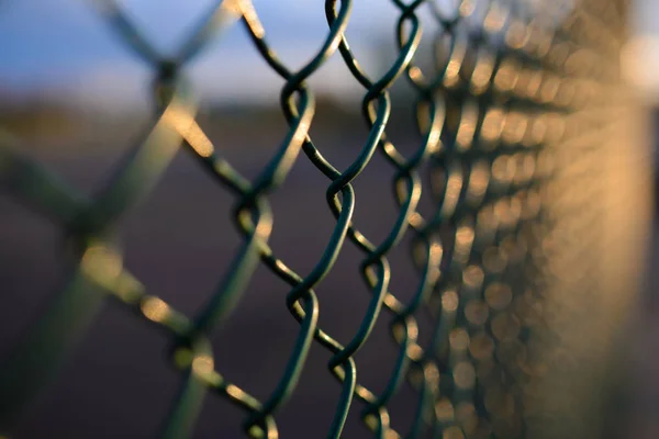 背景の観点で金属の格子フェンス — ストック写真