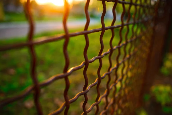 Hek Met Metalen Raster Perspectief Achtergrond — Stockfoto