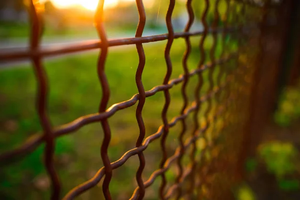 Hek Met Metalen Raster Perspectief Achtergrond — Stockfoto