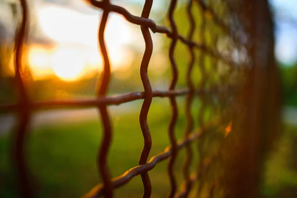 Hek Met Metalen Raster Perspectief Achtergrond — Stockfoto