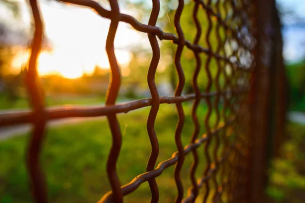 Hek Met Metalen Raster Perspectief Achtergrond — Stockfoto