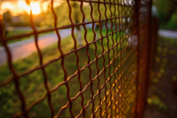 Hek Met Metalen Raster Perspectief Achtergrond — Stockfoto