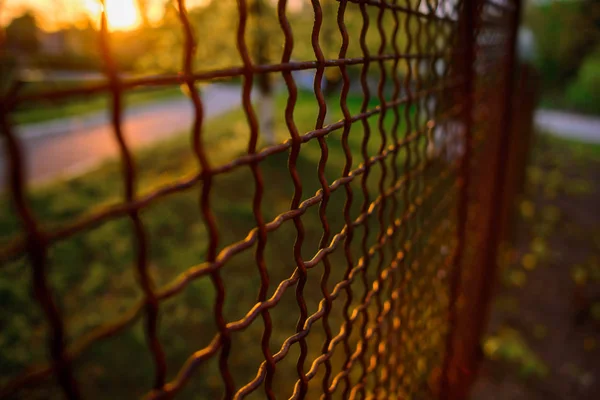 Hek Met Metalen Raster Perspectief Achtergrond — Stockfoto