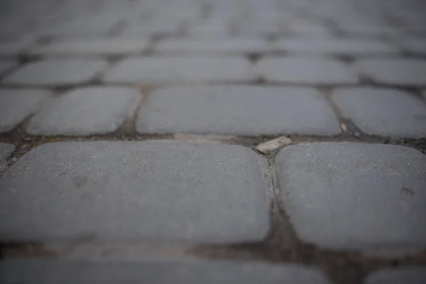 Vista Perspectiva Monotone Gray Brick Stone Street Road Passeio Pavimento — Fotografia de Stock