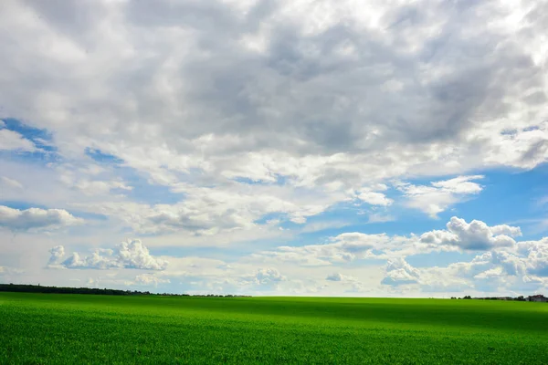 Grüne Wiese Und Strahlend Blauer Himmel — Stockfoto