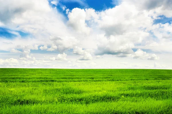 Groen Grasveld Heldere Blauwe Lucht — Stockfoto