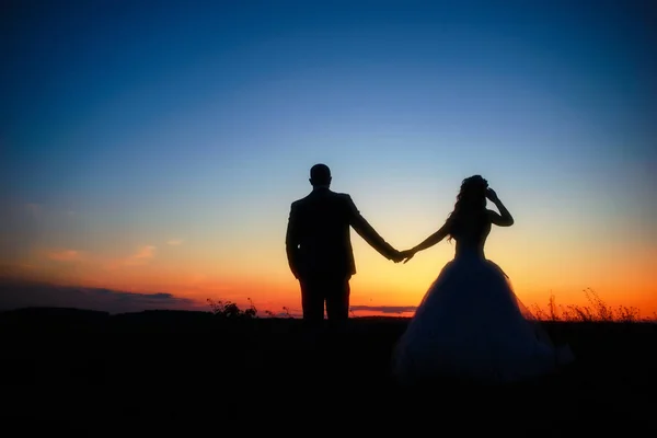 Silhueta Casal Casamento Campo Noiva Noivo Juntos — Fotografia de Stock