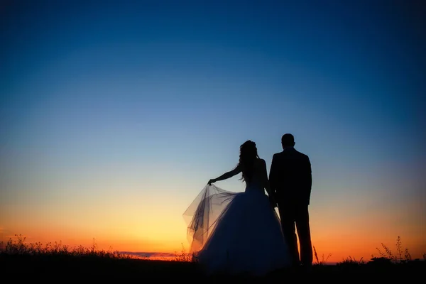 Silhueta Casal Casamento Campo Noiva Noivo Juntos — Fotografia de Stock