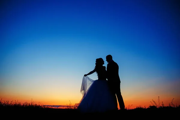Силуэт Свадебной Пары Поле Жених Невеста Вместе — стоковое фото