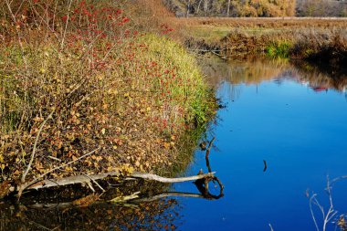 Bir manzara mavi su akışı ve kırsal kesimde bitki örtüsü. Güzel sonbahar kırsal manzara.
