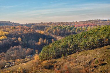 Tepeler ve greenfields ağaçları ile güzel renkli sonbahar manzara görüntülemek ve kırsal çim.