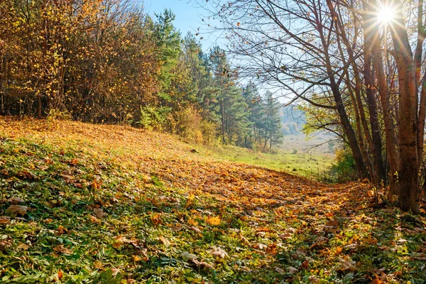 Krajobraz Niebieski Niebo Autumn Drewno Drzew Szczotki Użytki Zielone Wzgórze — Zdjęcie stockowe