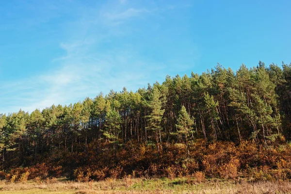 Landscape Blue Sky Autumn Wood Trees Brush Grassland Hill — Stock Photo, Image