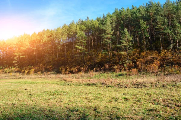 Krajobraz Niebieski Niebo Autumn Drewno Drzew Szczotki Użytki Zielone Wzgórze — Zdjęcie stockowe