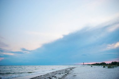 vahşi bir plaj ve güzel güneşli bir günde bir güvercin deniz suyu.