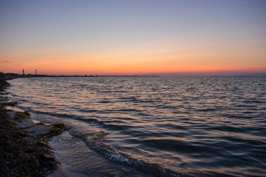 vahşi bir plaj ve güzel güneşli bir günde bir güvercin deniz suyu.