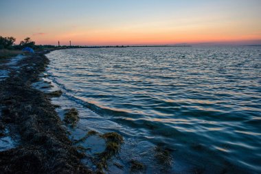 vahşi bir plaj ve güzel güneşli bir günde bir güvercin deniz suyu.