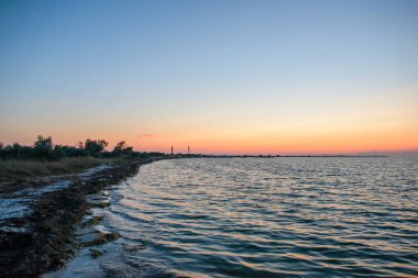 vahşi bir plaj ve güzel güneşli bir günde bir güvercin deniz suyu.