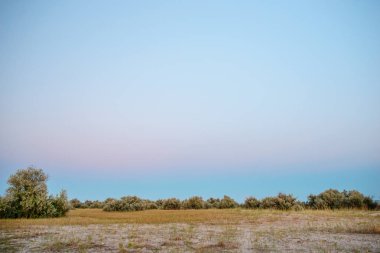 Panorama vahşi, ulusal deniz plaj rezerv Adası.