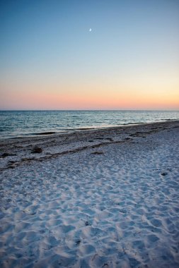 vahşi bir plaj ve güzel güneşli bir günde bir güvercin deniz suyu.