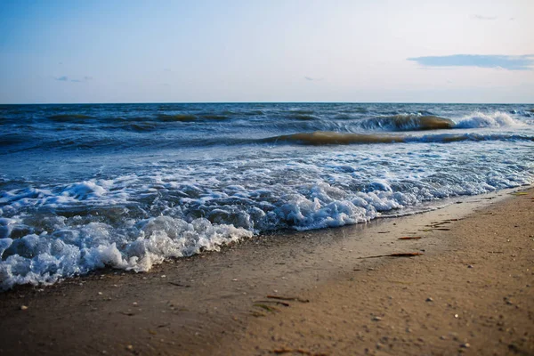 Una Playa Salvaje Una Paloma Agua Mar Hermoso Día Soleado — Foto de Stock