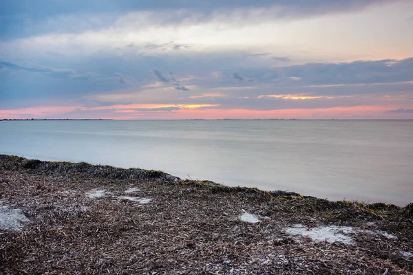 Ein Wilder Strand Und Ein Taubenmeer Einem Schönen Sonnigen Tag — Stockfoto