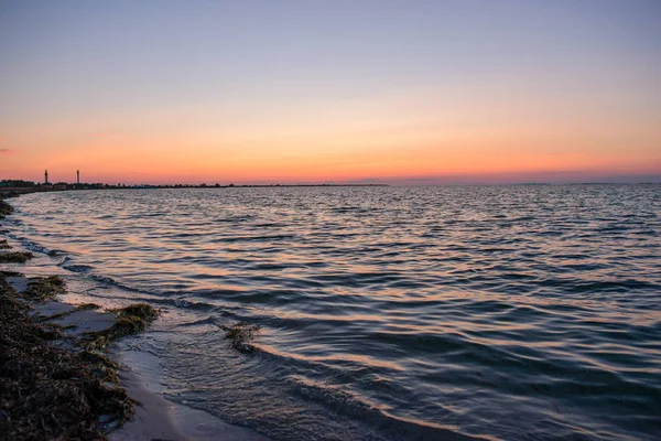 vahşi bir plaj ve güzel güneşli bir günde bir güvercin deniz suyu.