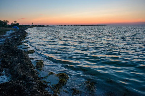 vahşi bir plaj ve güzel güneşli bir günde bir güvercin deniz suyu.