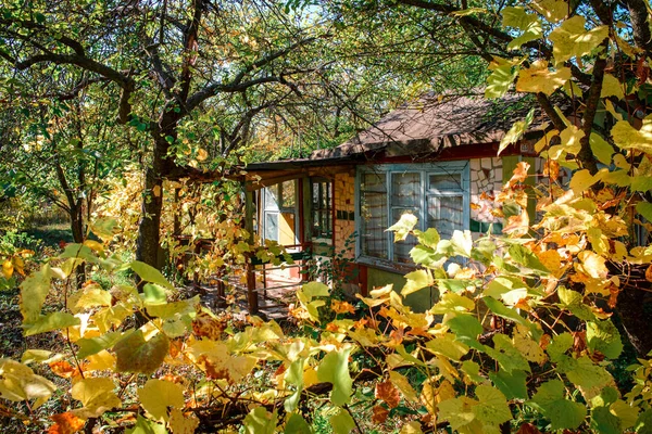 Wooden house for rest with a sauna and the big wooden font.