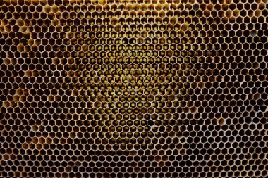 Balmumu bal peteğinin bir bölümünün arkaplan dokusu ve deseni tam çerçeve görünümlü altın bal dolu bir arı kovanına ait..