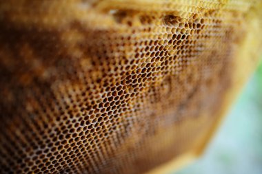 Balmumu bal peteğinin bir bölümünün arkaplan dokusu ve deseni tam çerçeve görünümlü altın bal dolu bir arı kovanına ait..