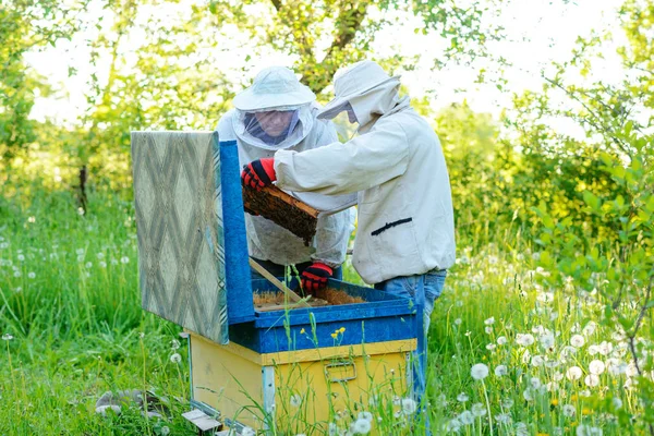 つの養蜂家は 養蜂場で動作します — ストック写真
