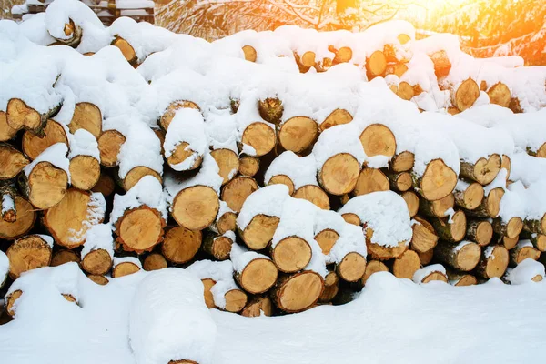 Holzstapel Wald Winter — Stockfoto