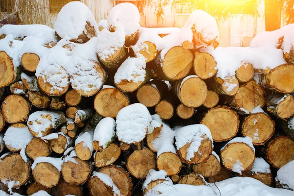 Montones Troncos Bosque Durante Invierno — Foto de Stock