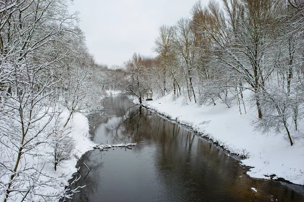 Zimowy Krajobraz Rzeką Mroźny Dzień — Zdjęcie stockowe