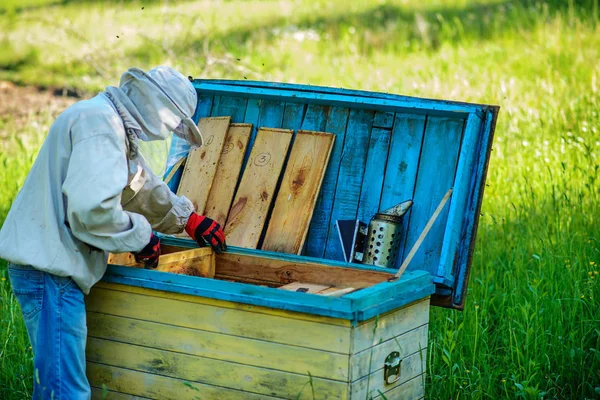 Včelín Včelař Pracuje Včely Blízkosti Úlů — Stock fotografie