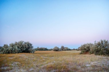 Panorama vahşi, ulusal deniz plaj rezerv Adası.