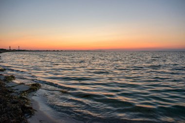 vahşi bir plaj ve güzel güneşli bir günde bir güvercin deniz suyu.