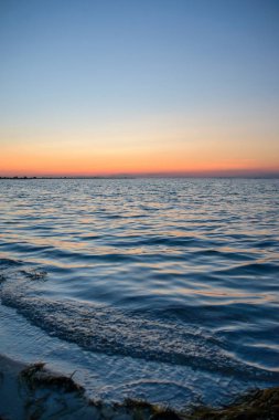 vahşi bir plaj ve güzel güneşli bir günde bir güvercin deniz suyu.