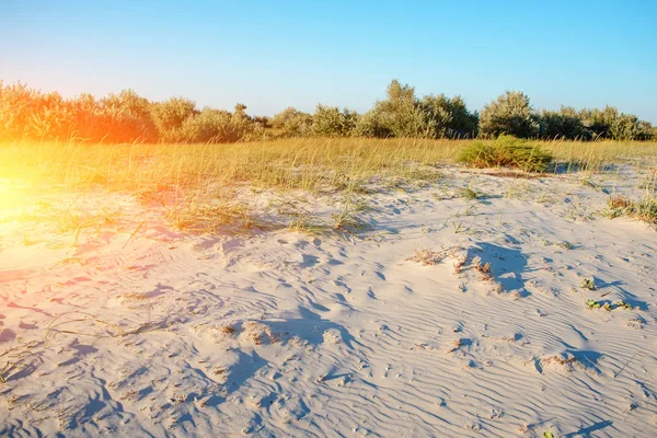 Panorama Sauvage Plage Mer Dans Réserve Nationale Île — Photo