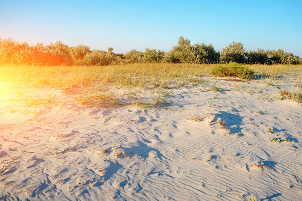 Дикий, морской пляж на острове национального заповедника
.